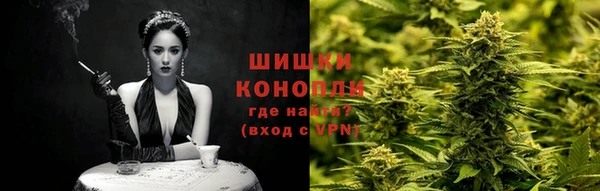 сатива Бугульма