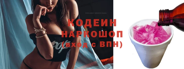 прущие крисы Бородино