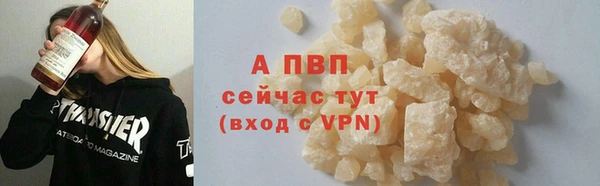 прущие крисы Бородино