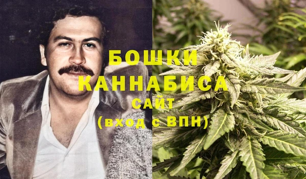 прущие крисы Бородино