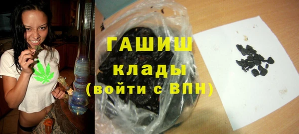 прущие крисы Бородино