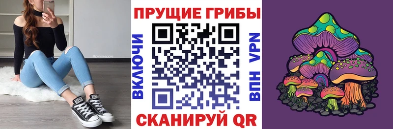 Купить закладки  Туринск  Псилоцибиновые грибы Cubensis 